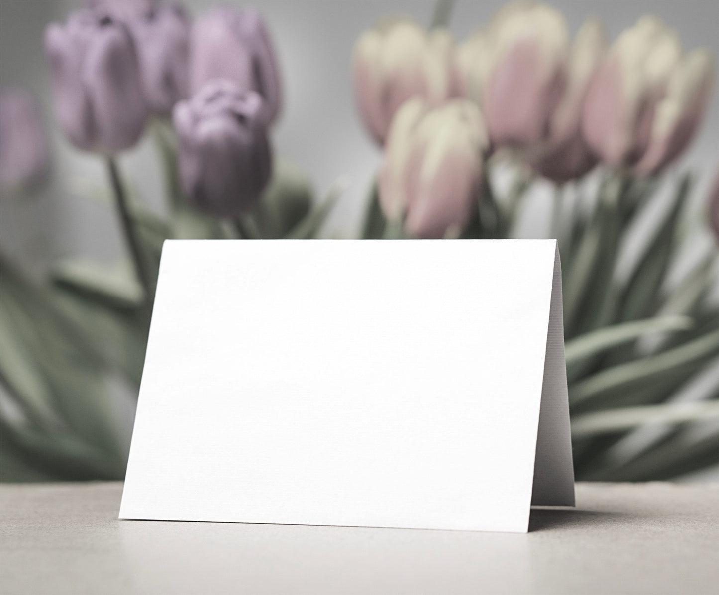 Cards Place Cards Coloured 270gsm Matt Place Cards Recycled Choose Colour