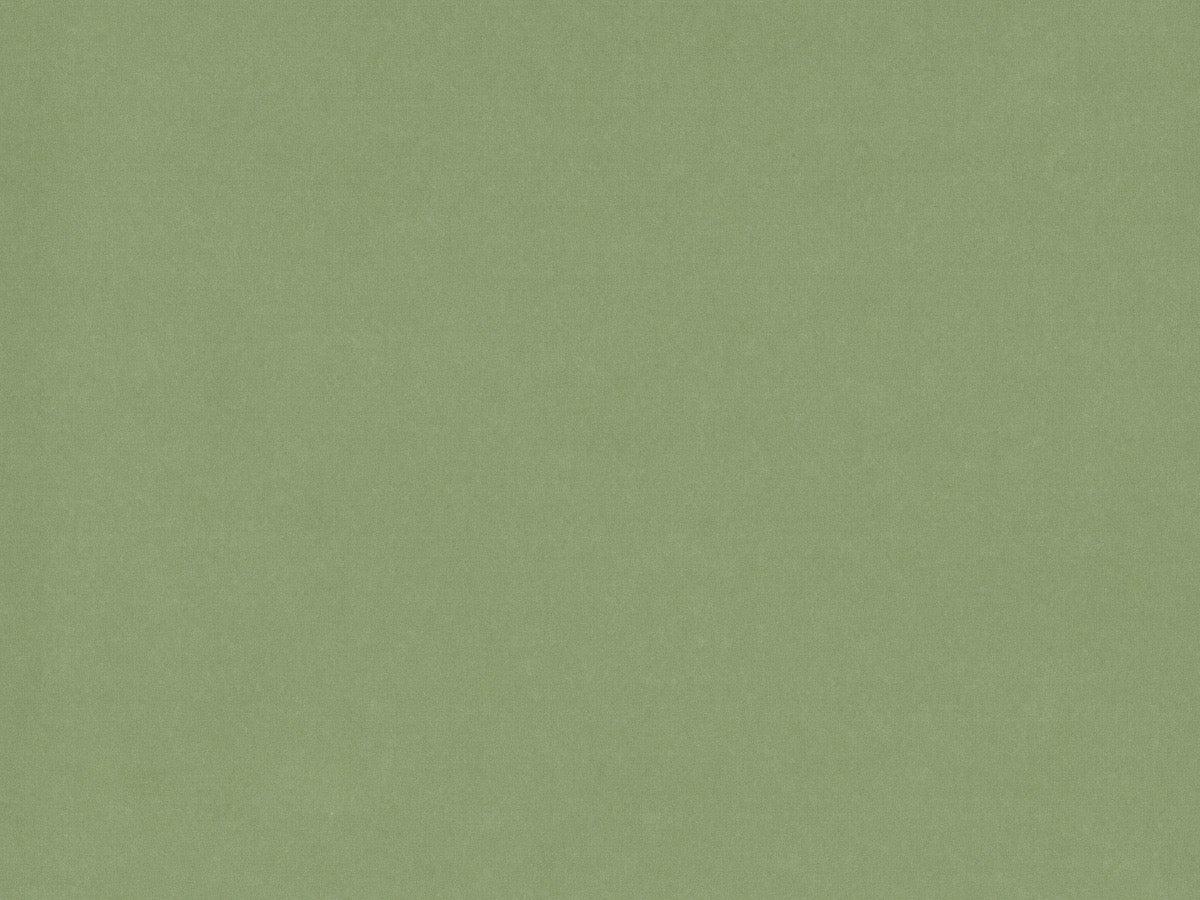 Menu Cards Blanks Pack of 20 or choose , print your own.