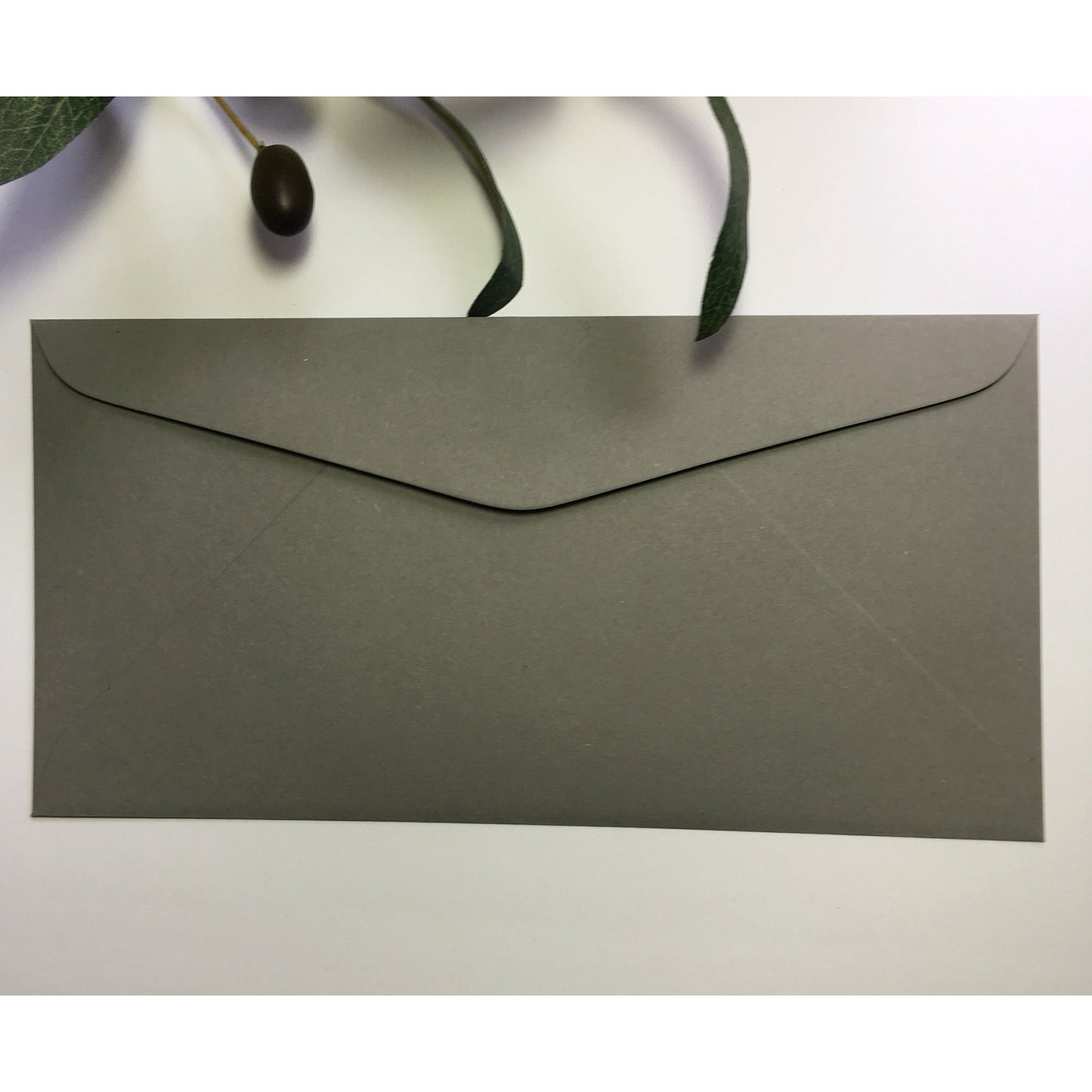 Coloured DL Envelopes size 110mm x 220mm