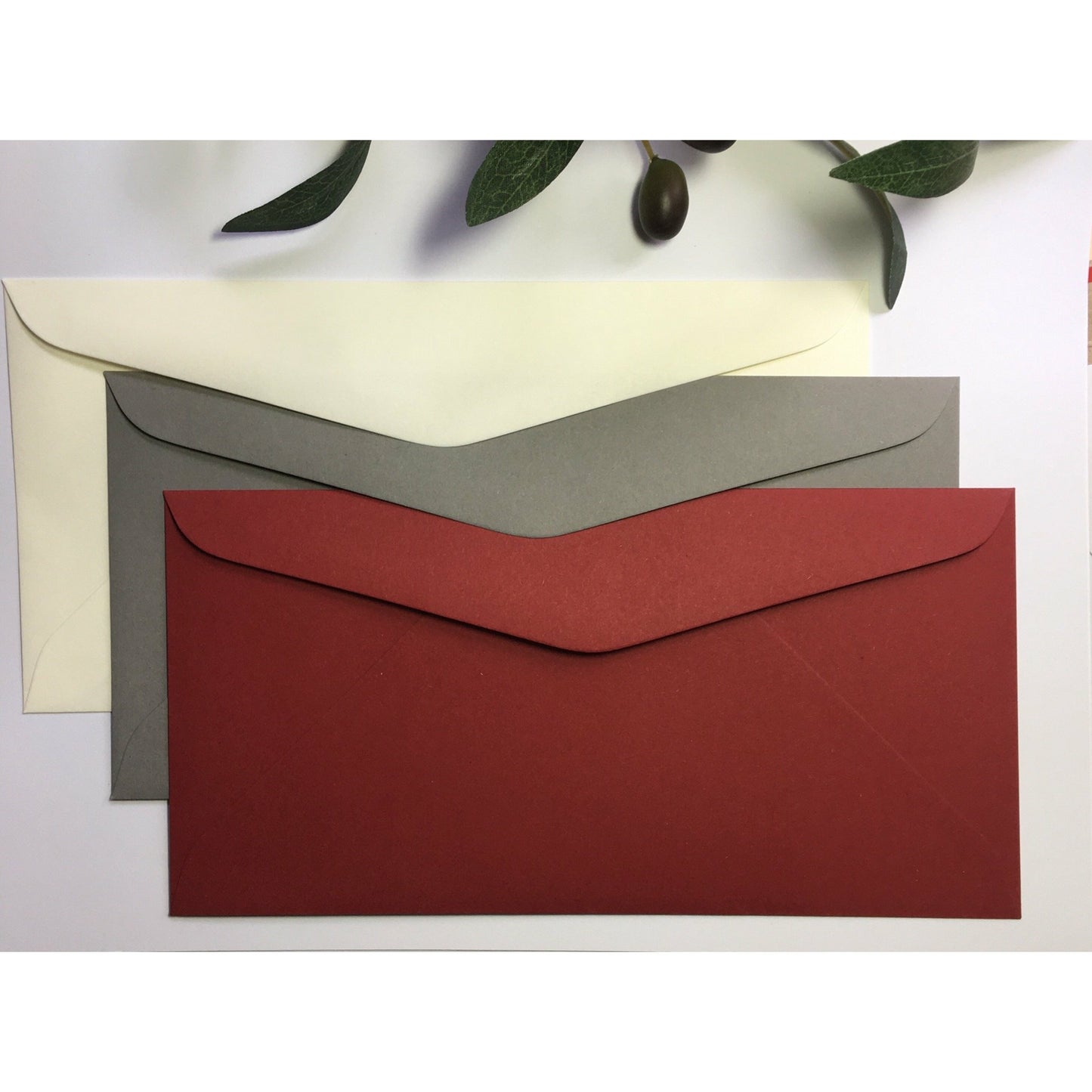 Coloured DL Envelopes size 110mm x 220mm