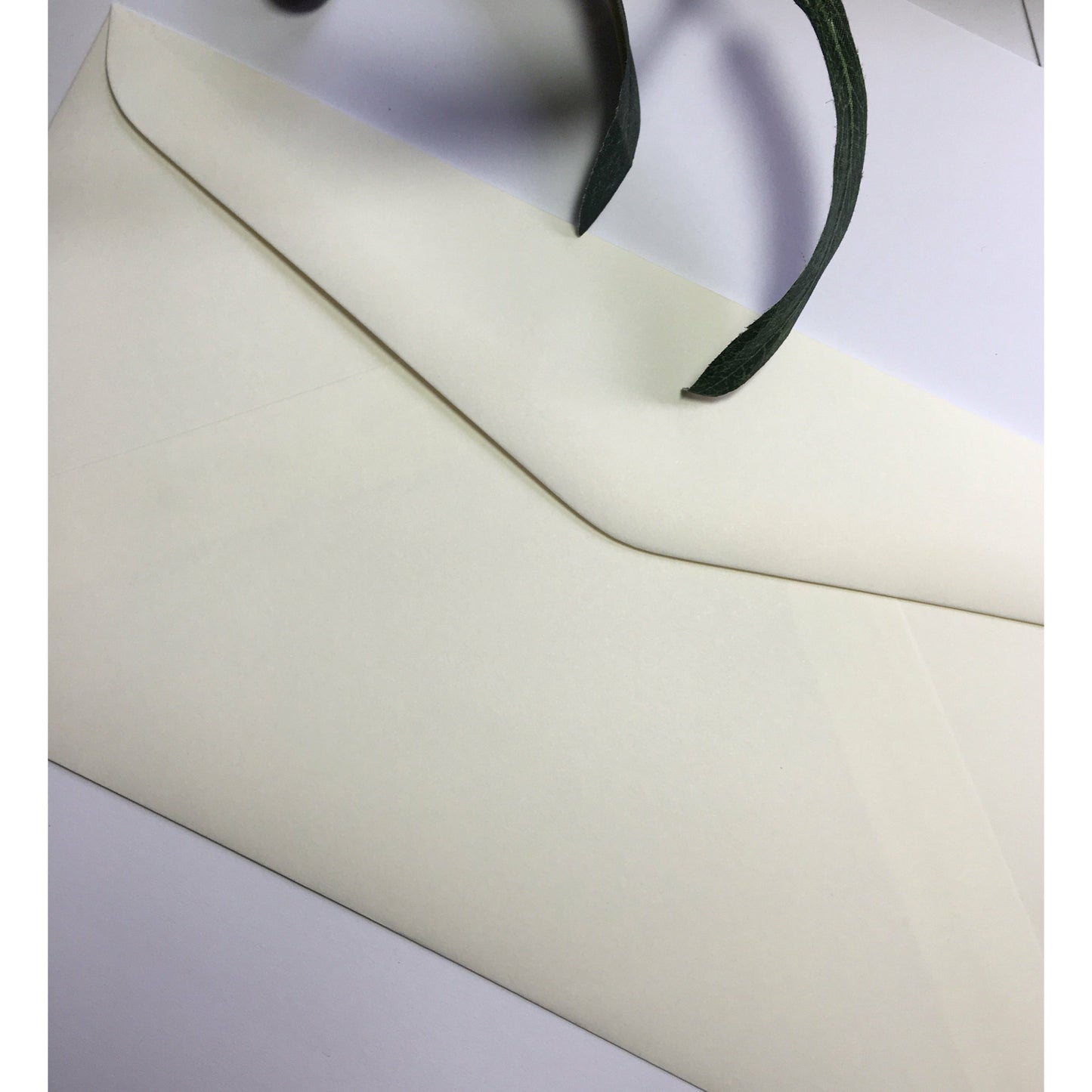 Coloured DL Envelopes size 110mm x 220mm