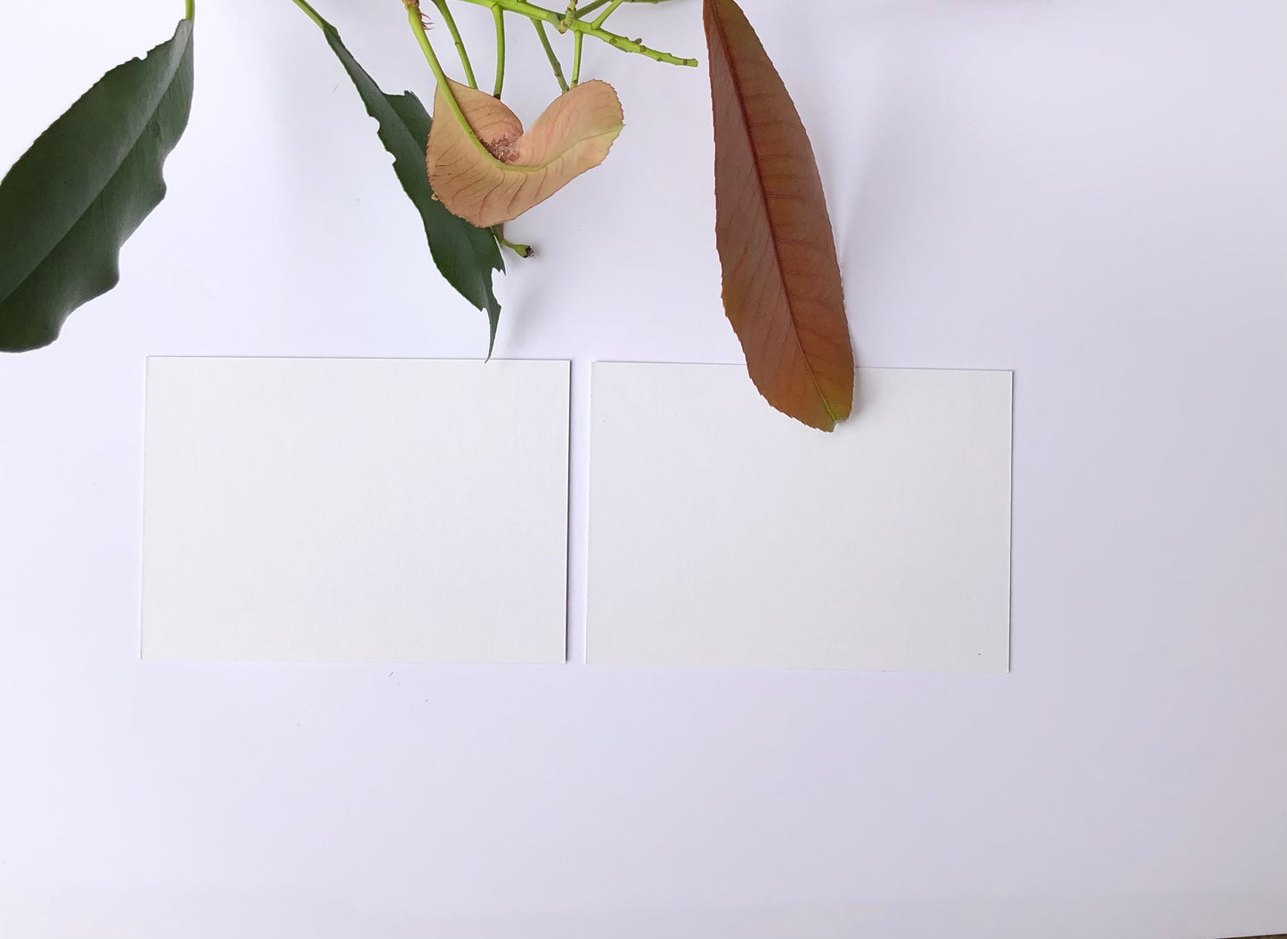 Coloured DL Envelopes size 110mm x 220mm