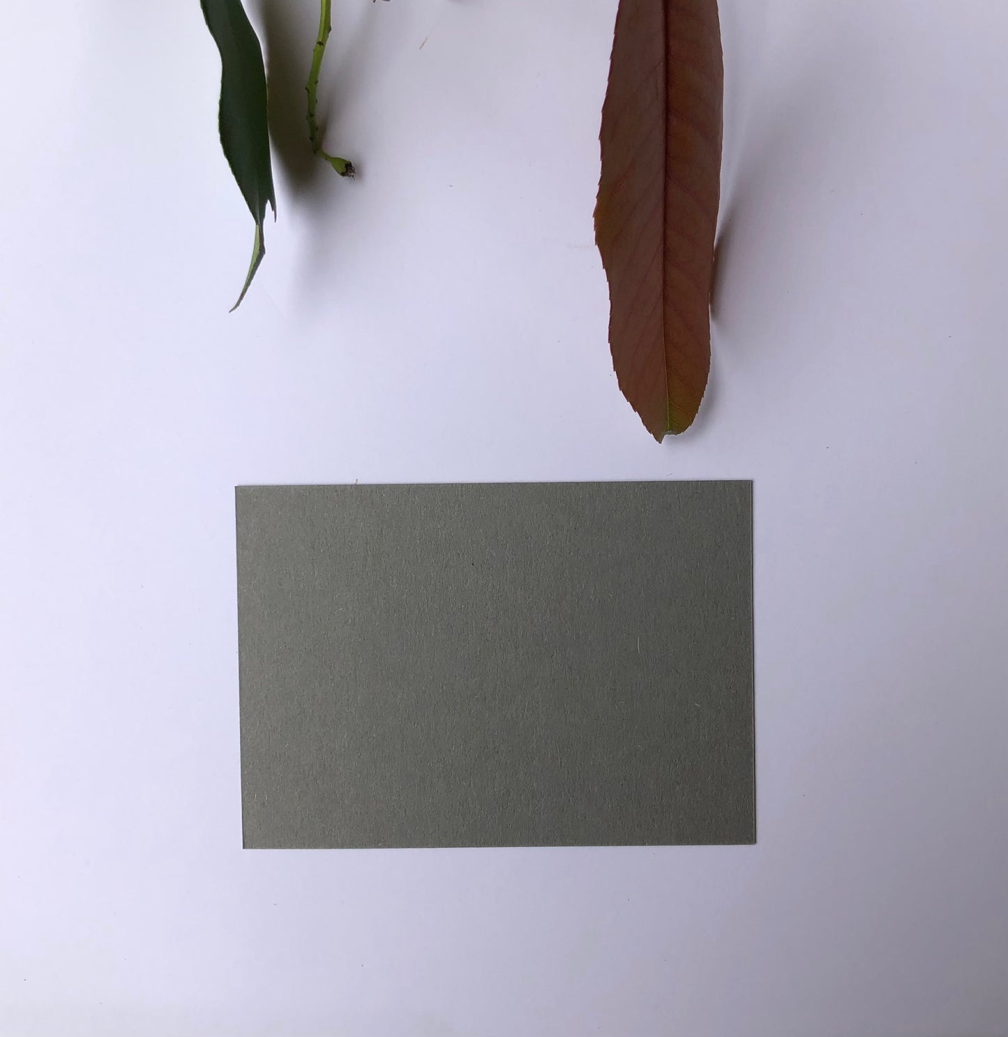 Coloured DL Envelopes size 110mm x 220mm