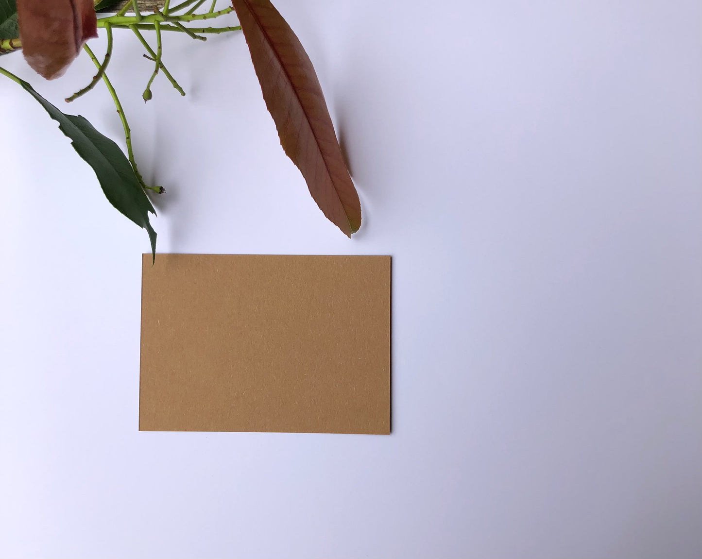 Coloured DL Envelopes size 110mm x 220mm