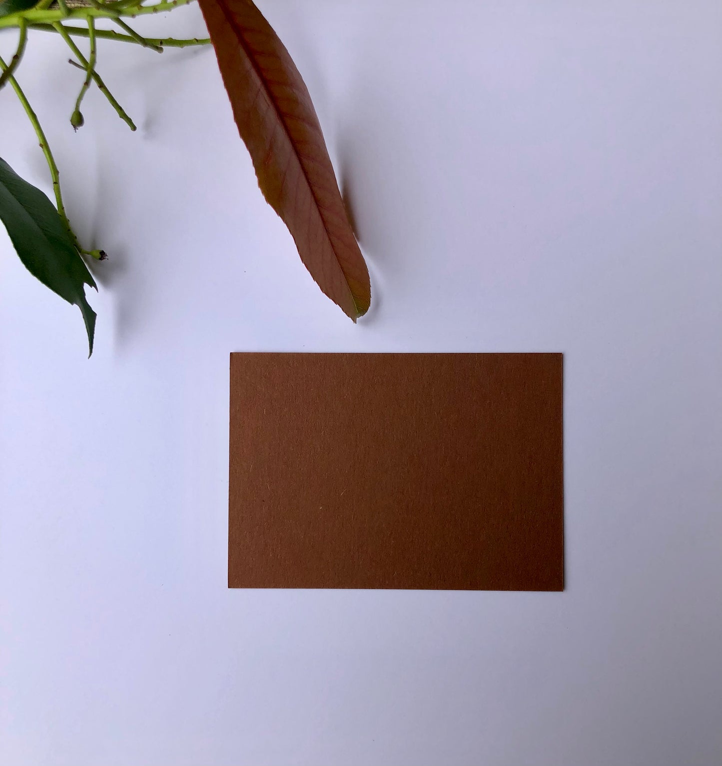 Coloured DL Envelopes size 110mm x 220mm