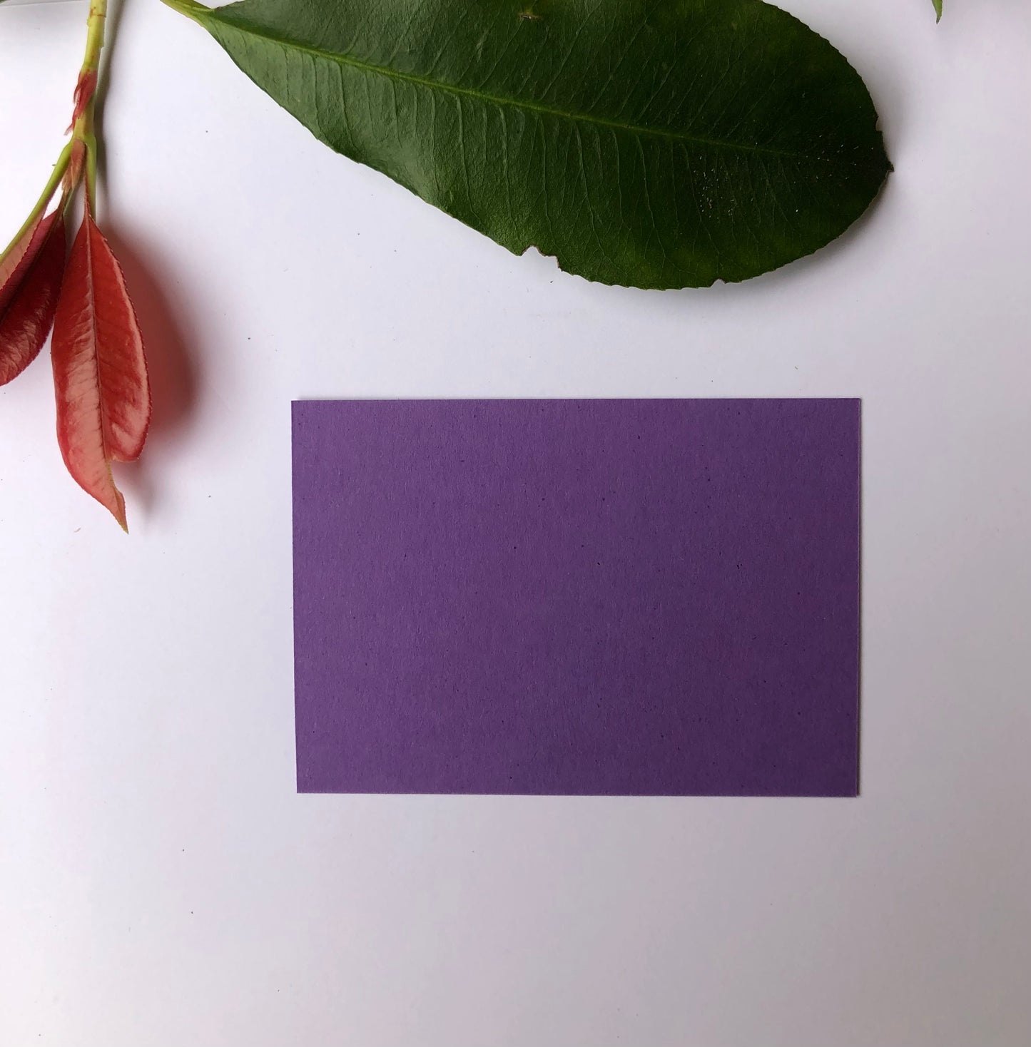 Coloured DL Envelopes size 110mm x 220mm