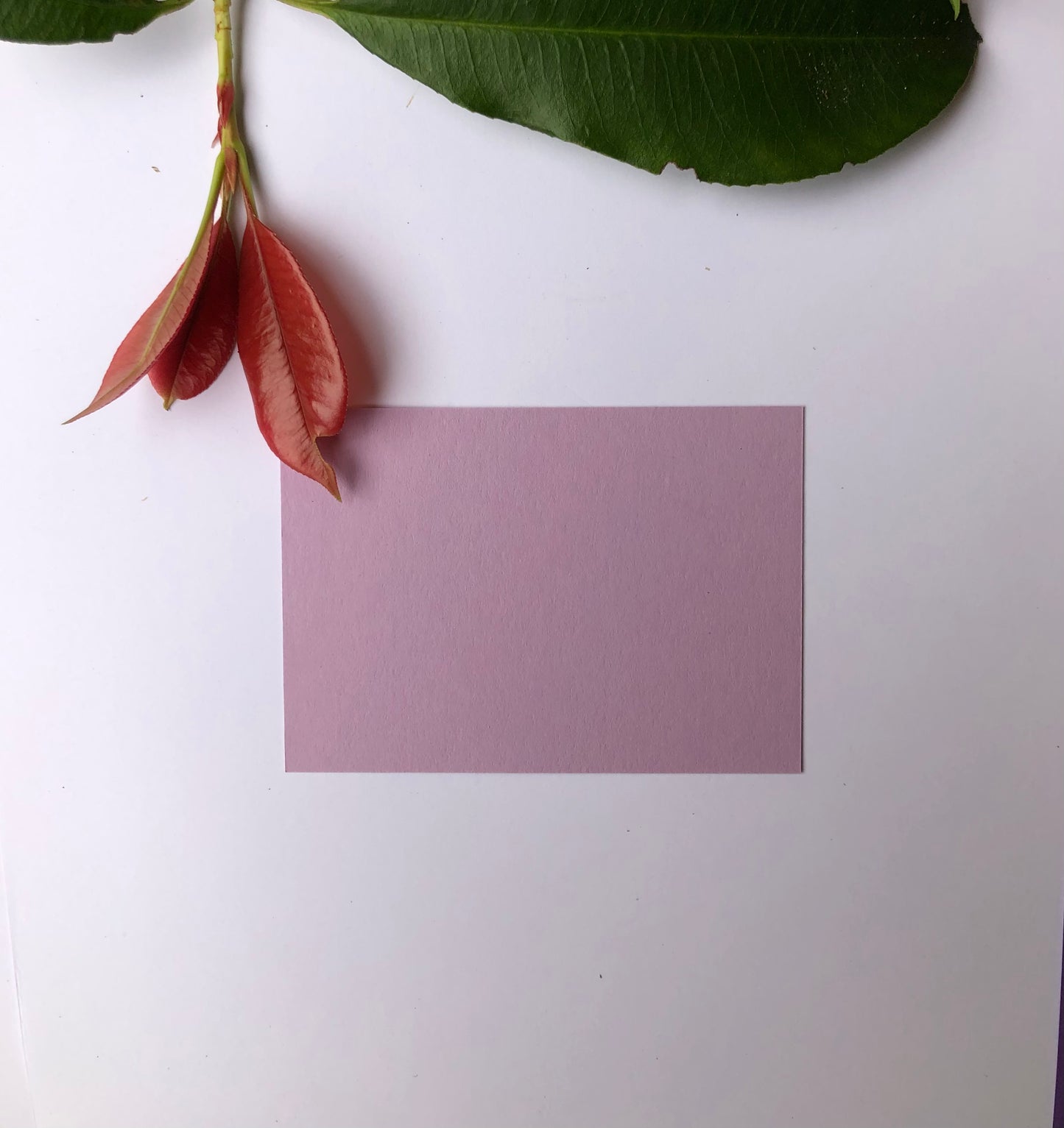 Coloured DL Envelopes size 110mm x 220mm