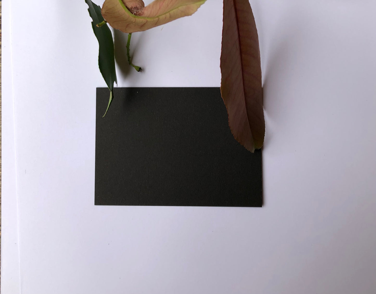 Coloured DL Envelopes size 110mm x 220mm