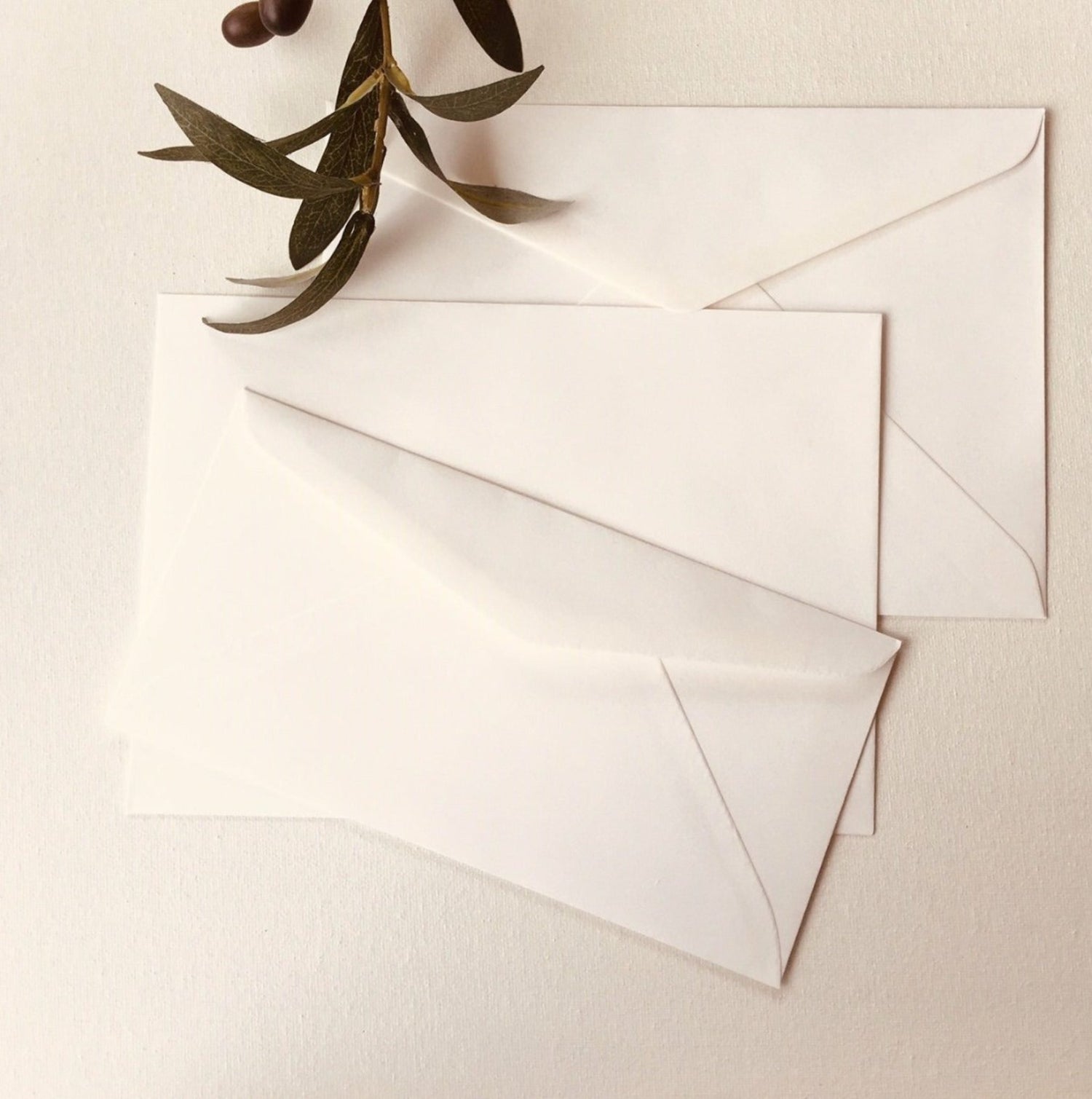 Cotton Envelopes White or Cream