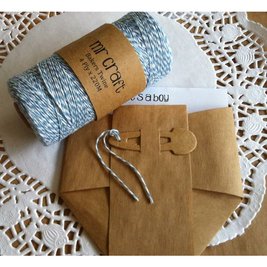 Twine - Blue and White 220metres